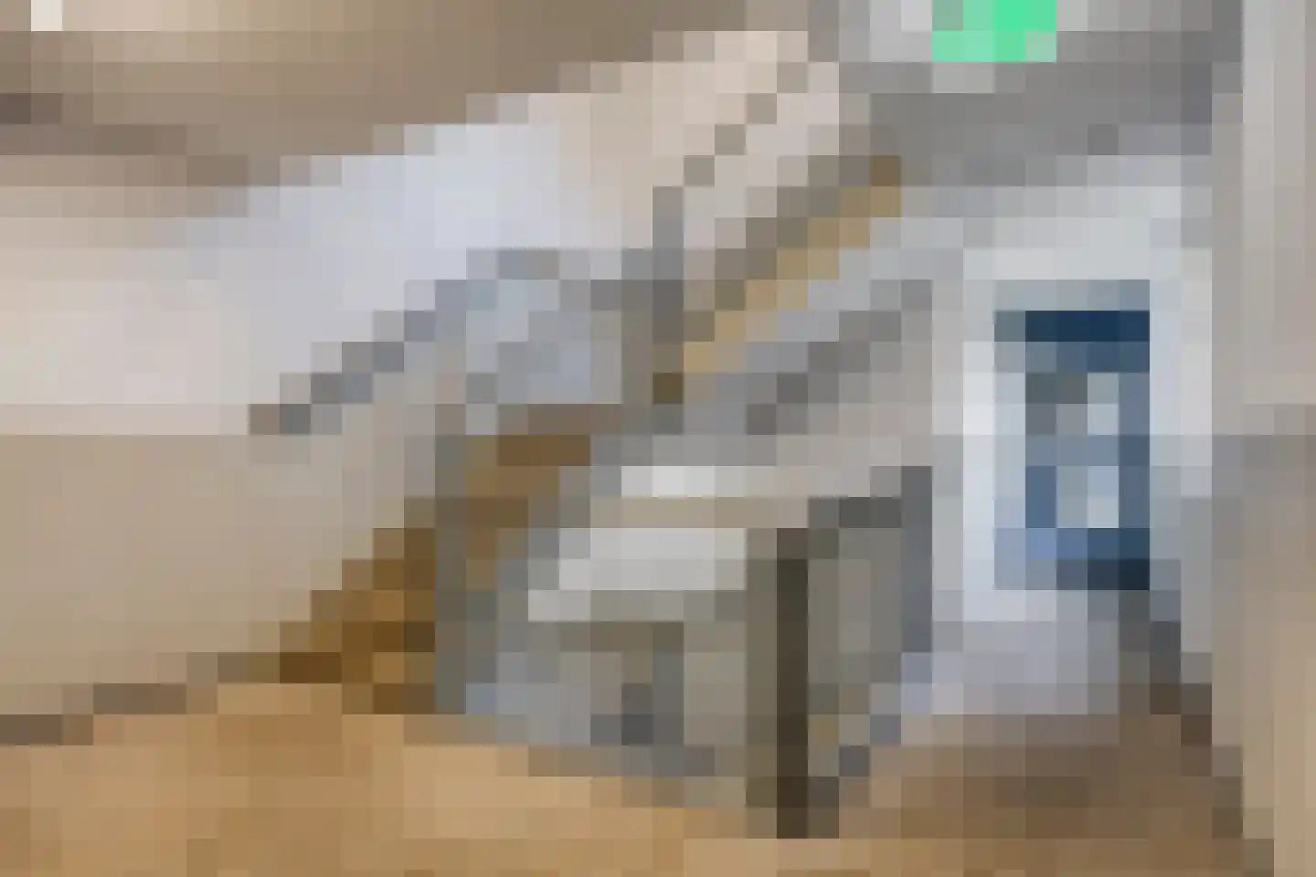 Gruttersveld 7 149 Wehl thumbnail 14