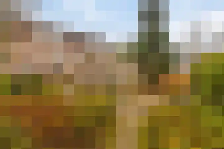 Gruttersveld 7 276 Wehl thumbnail 24