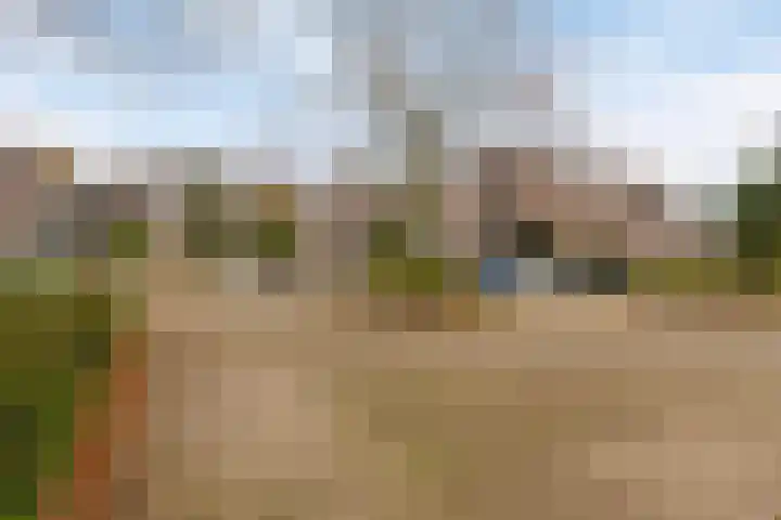 Gruttersveld 7 276 Wehl thumbnail 26