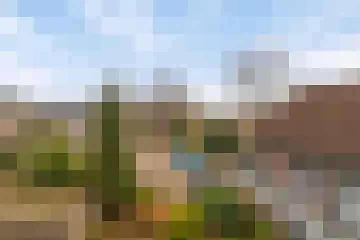 Gruttersveld 7 276 Wehl thumbnail 7