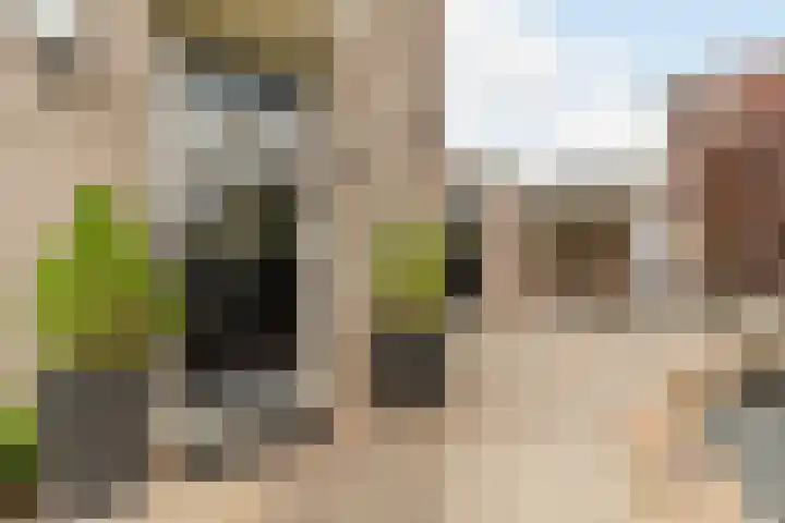 Grutto 1 Bunschoten-Spakenburg thumbnail 4