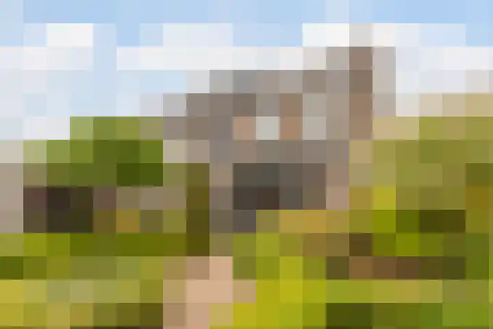 Grutto 1 Bunschoten-Spakenburg thumbnail 42
