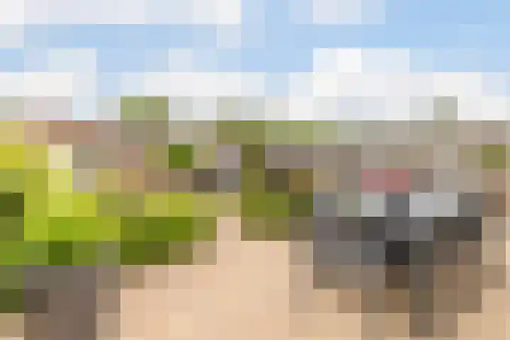 Grutto 1 Bunschoten-Spakenburg thumbnail 43