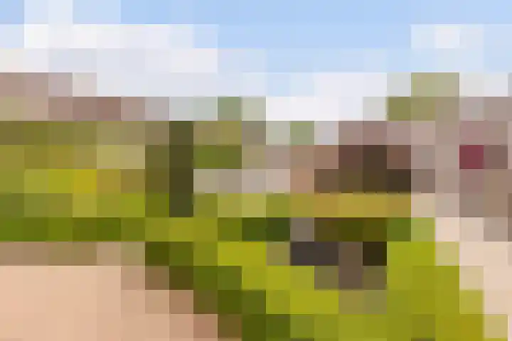 Grutto 1 Bunschoten-Spakenburg thumbnail 44