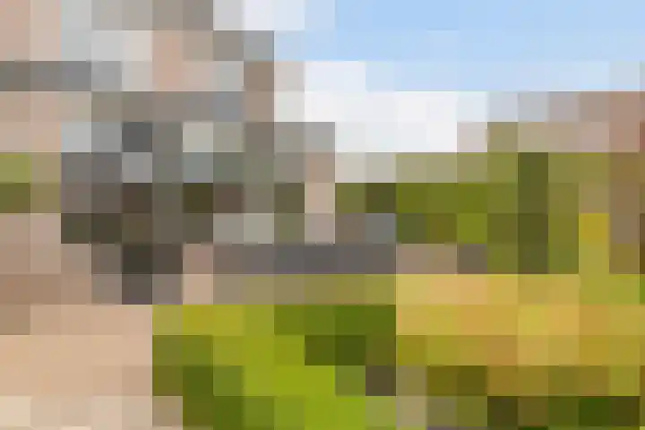 Grutto 1 Bunschoten-Spakenburg thumbnail 46