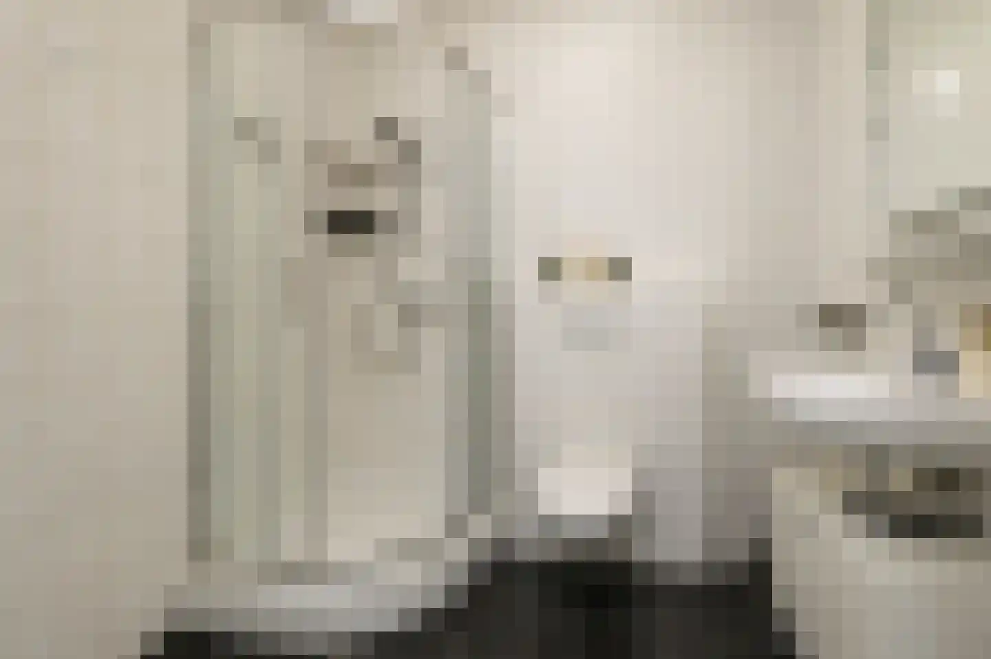 Grutto 1 C Kwintsheul thumbnail 14