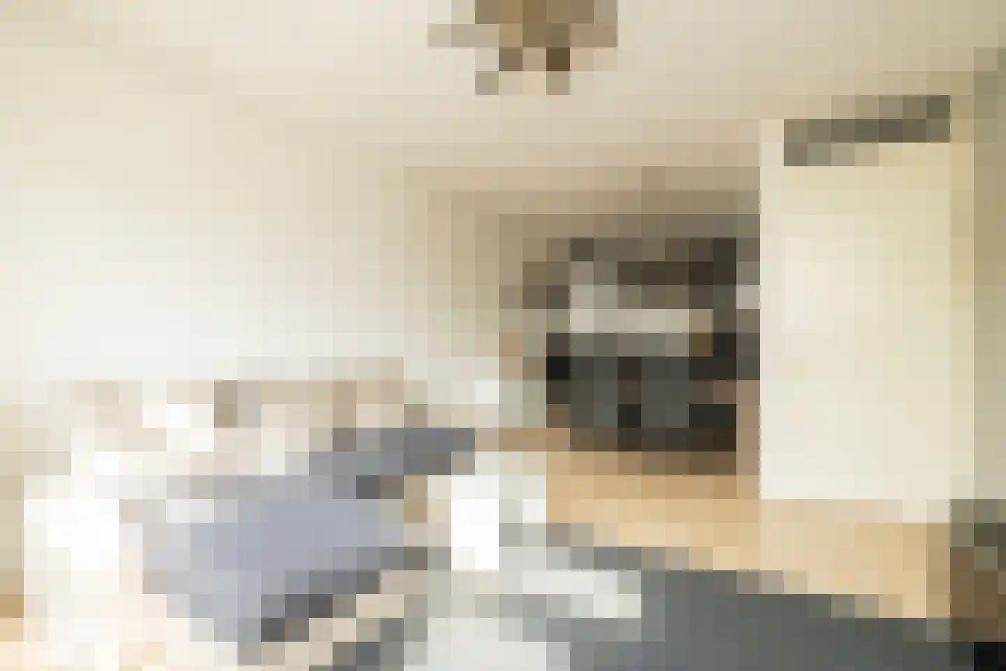 Grutto 1 C Kwintsheul thumbnail 6