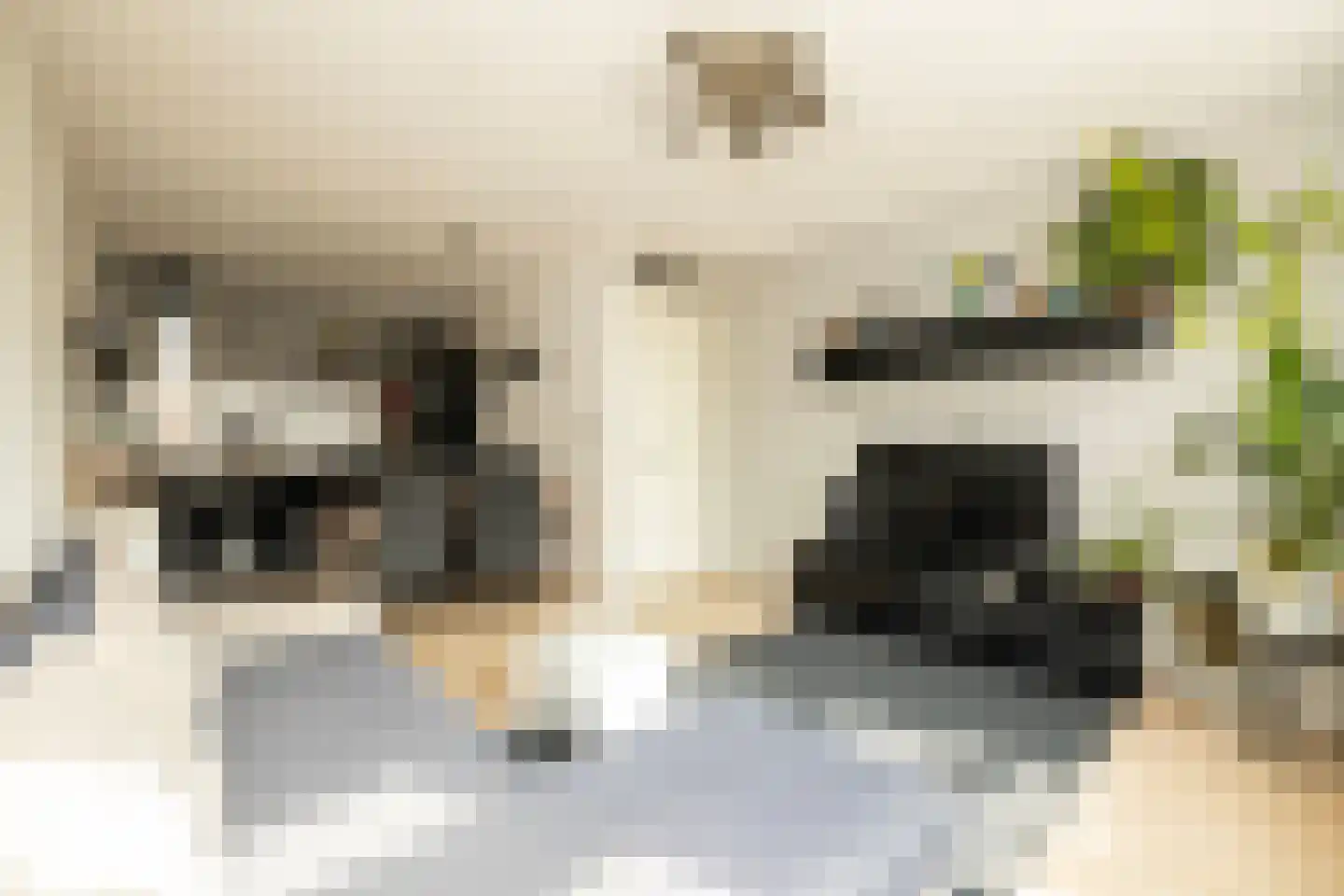 Grutto 1 C Kwintsheul thumbnail 7