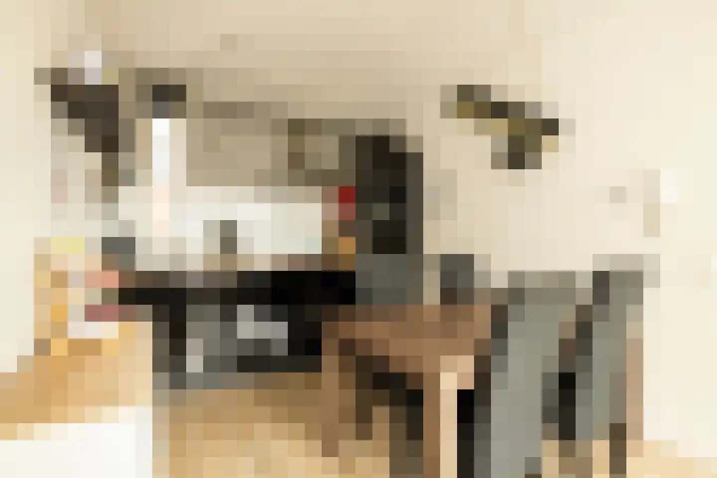 Grutto 1 C Kwintsheul thumbnail 9