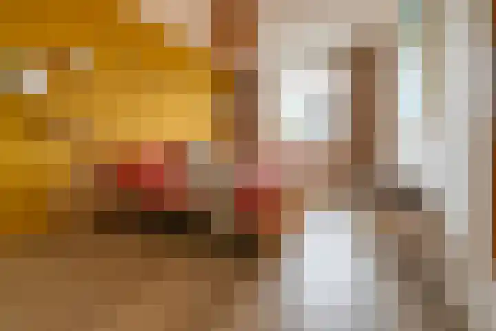 Grutto 1 Meerkerk thumbnail 13