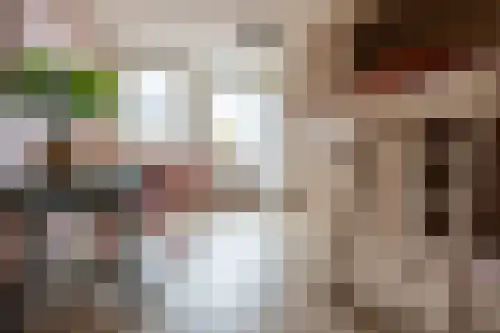 Grutto 1 Meerkerk thumbnail 17
