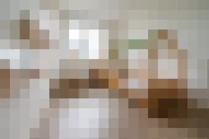 Grutto 1 Meerkerk thumbnail 19
