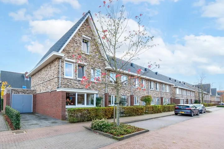 Grutto 1 Meerkerk foto 2