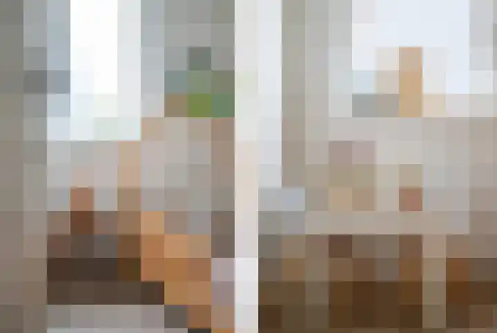 Grutto 1 Meerkerk thumbnail 20