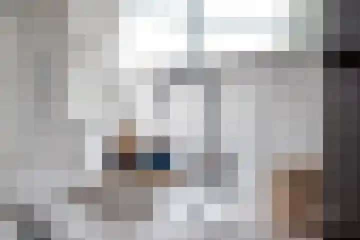 Grutto 1 Meerkerk thumbnail 22