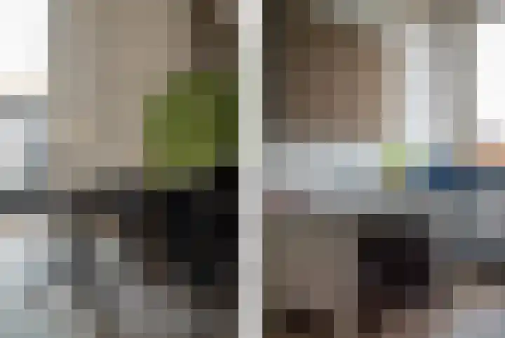Grutto 1 Meerkerk thumbnail 25