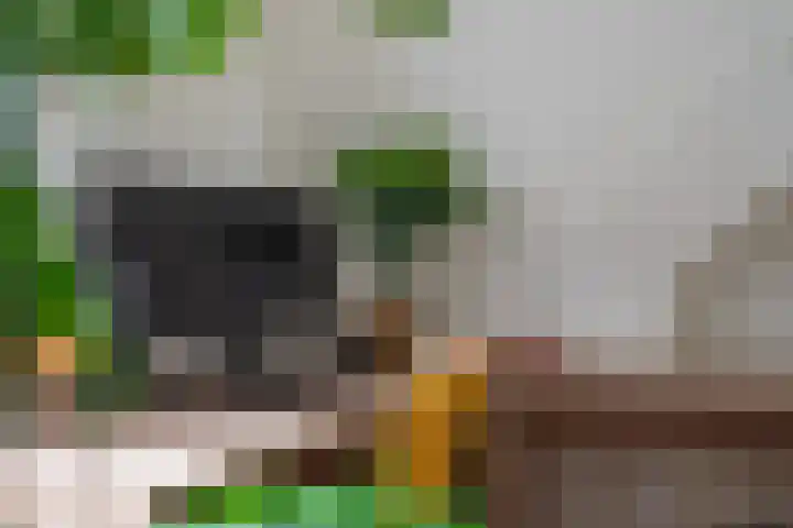 Grutto 1 Meerkerk thumbnail 28