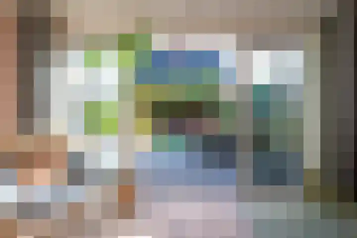 Grutto 1 Meerkerk thumbnail 30
