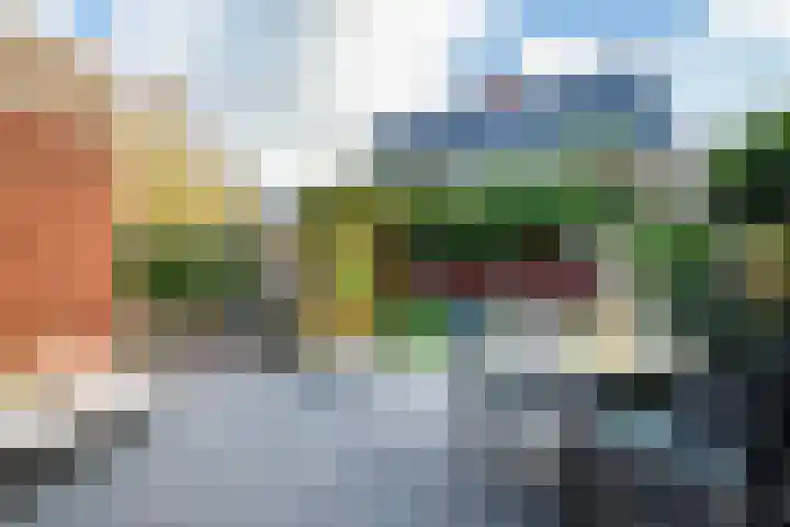 Grutto 1 Meerkerk thumbnail 31