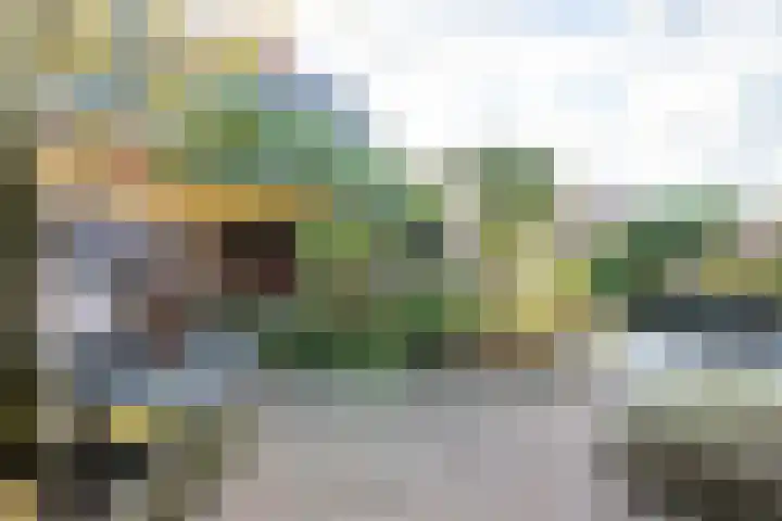Grutto 1 Meerkerk thumbnail 32
