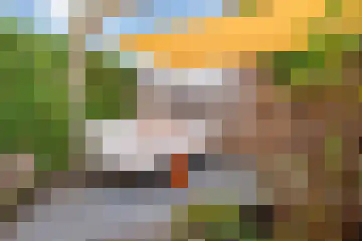 Grutto 1 Meerkerk thumbnail 33