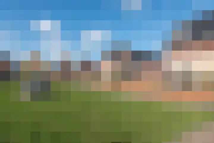 Grutto 1 Meerkerk thumbnail 37
