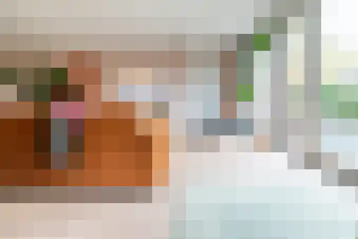 Grutto 1 Meerkerk thumbnail 6