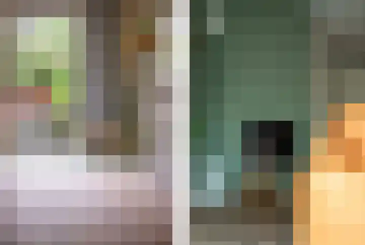 Grutto 1 Meerkerk thumbnail 8