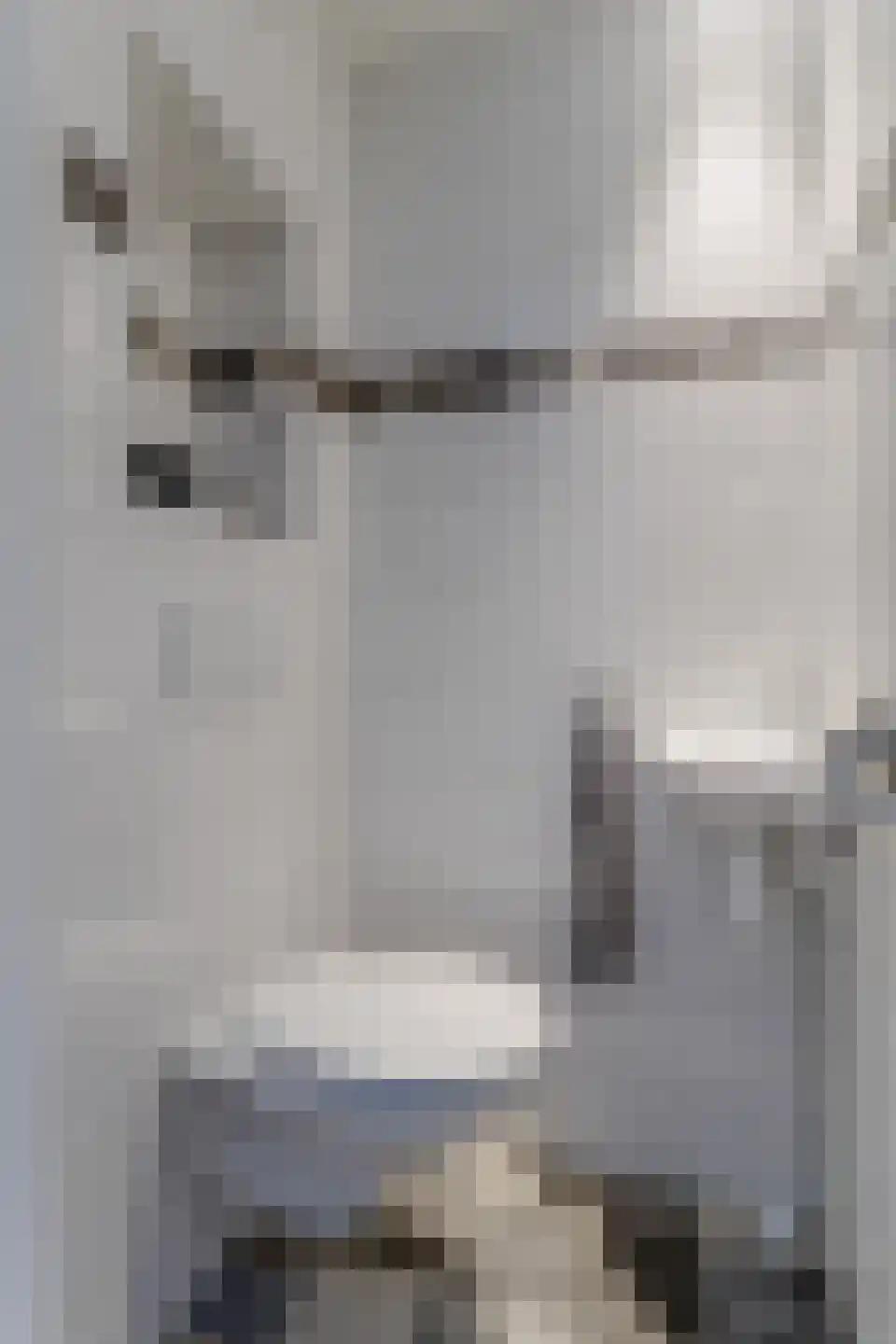 Grutto 1 Obdam thumbnail 12