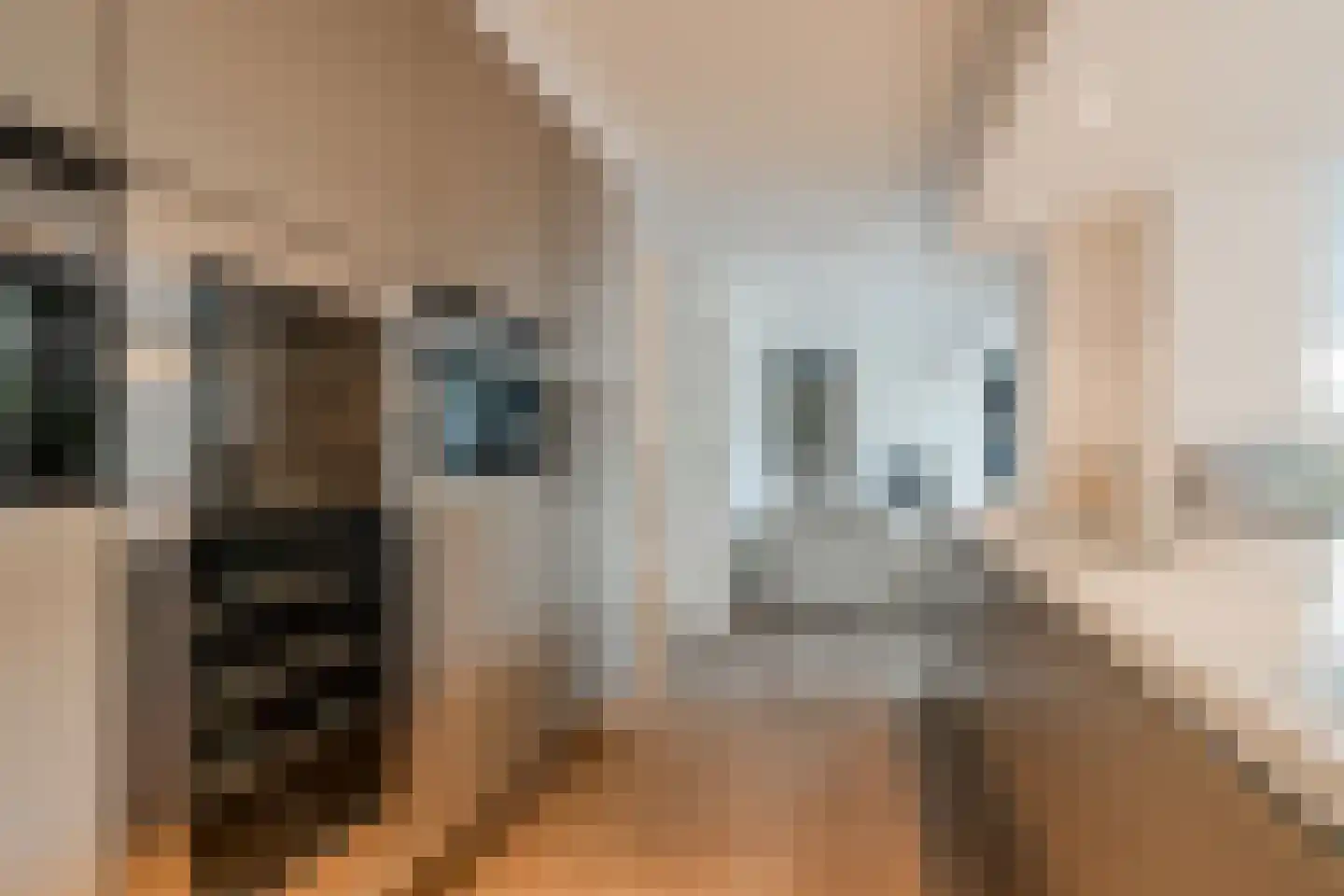 Grutto 1 Ouderkerk aan de Amstel thumbnail 15