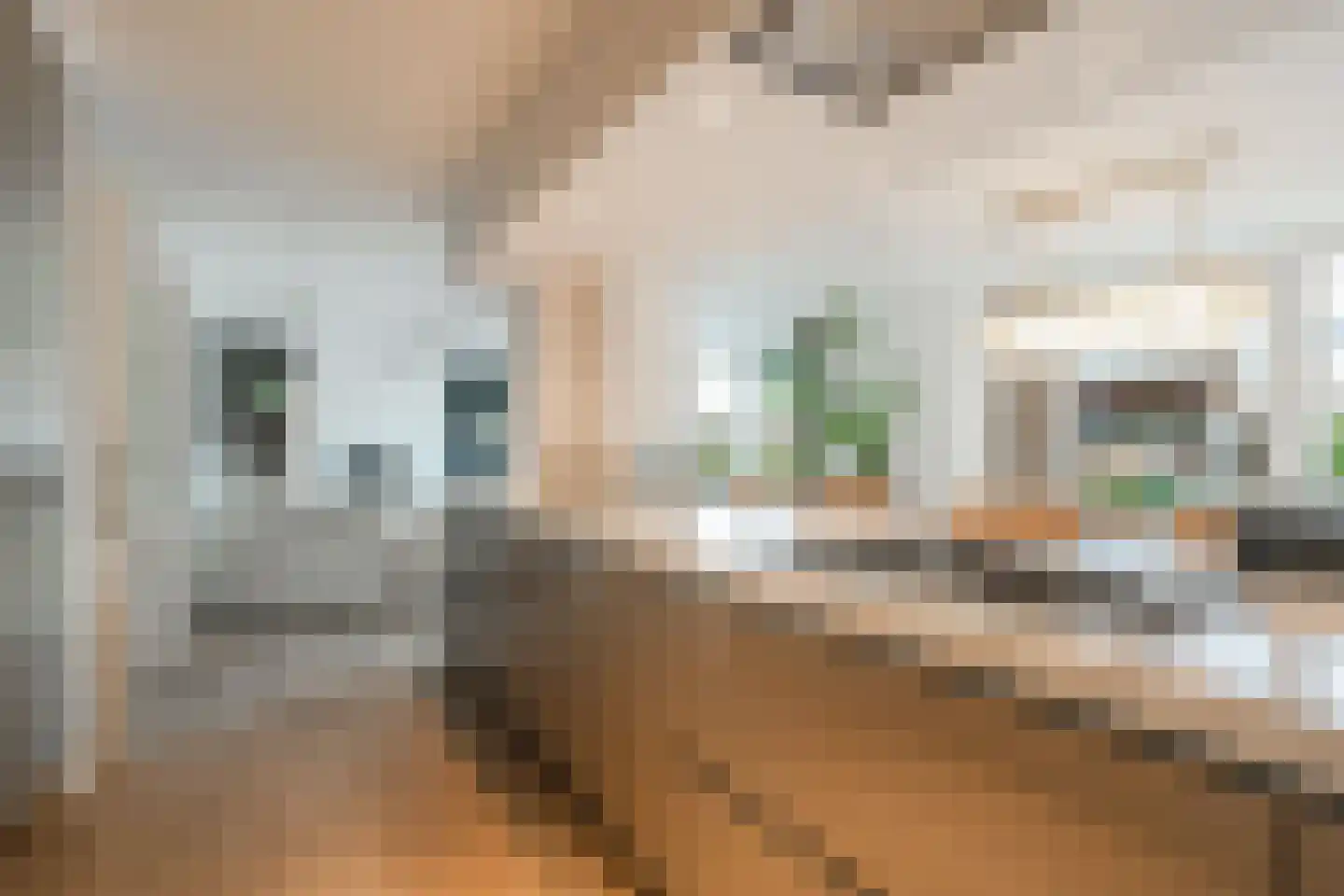 Grutto 1 Ouderkerk aan de Amstel thumbnail 18