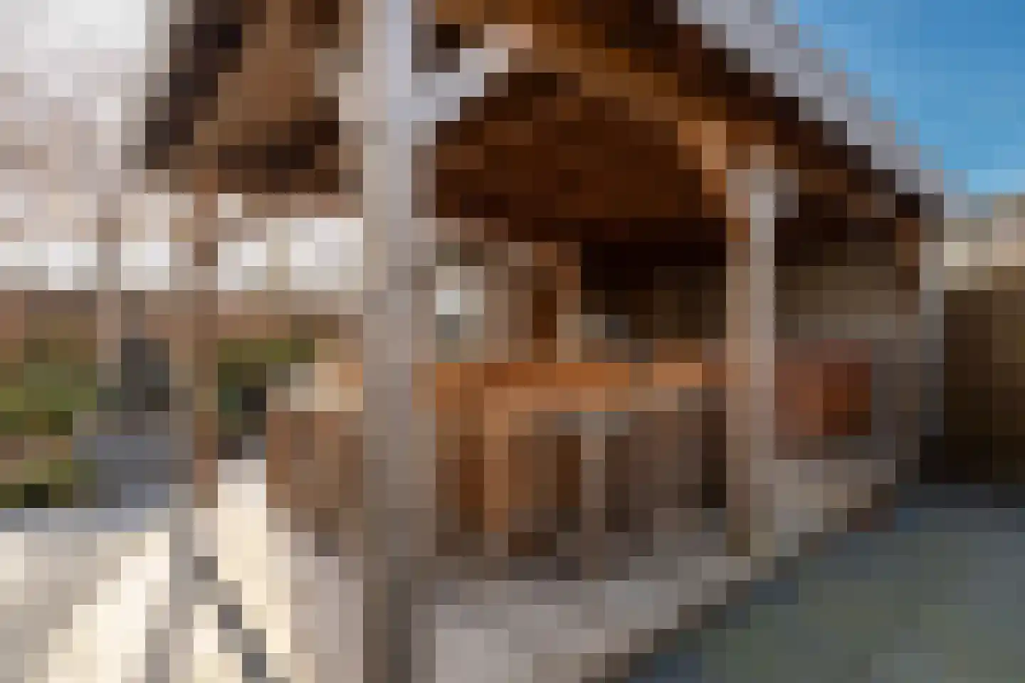Grutto 1 Ouderkerk aan de Amstel thumbnail 21