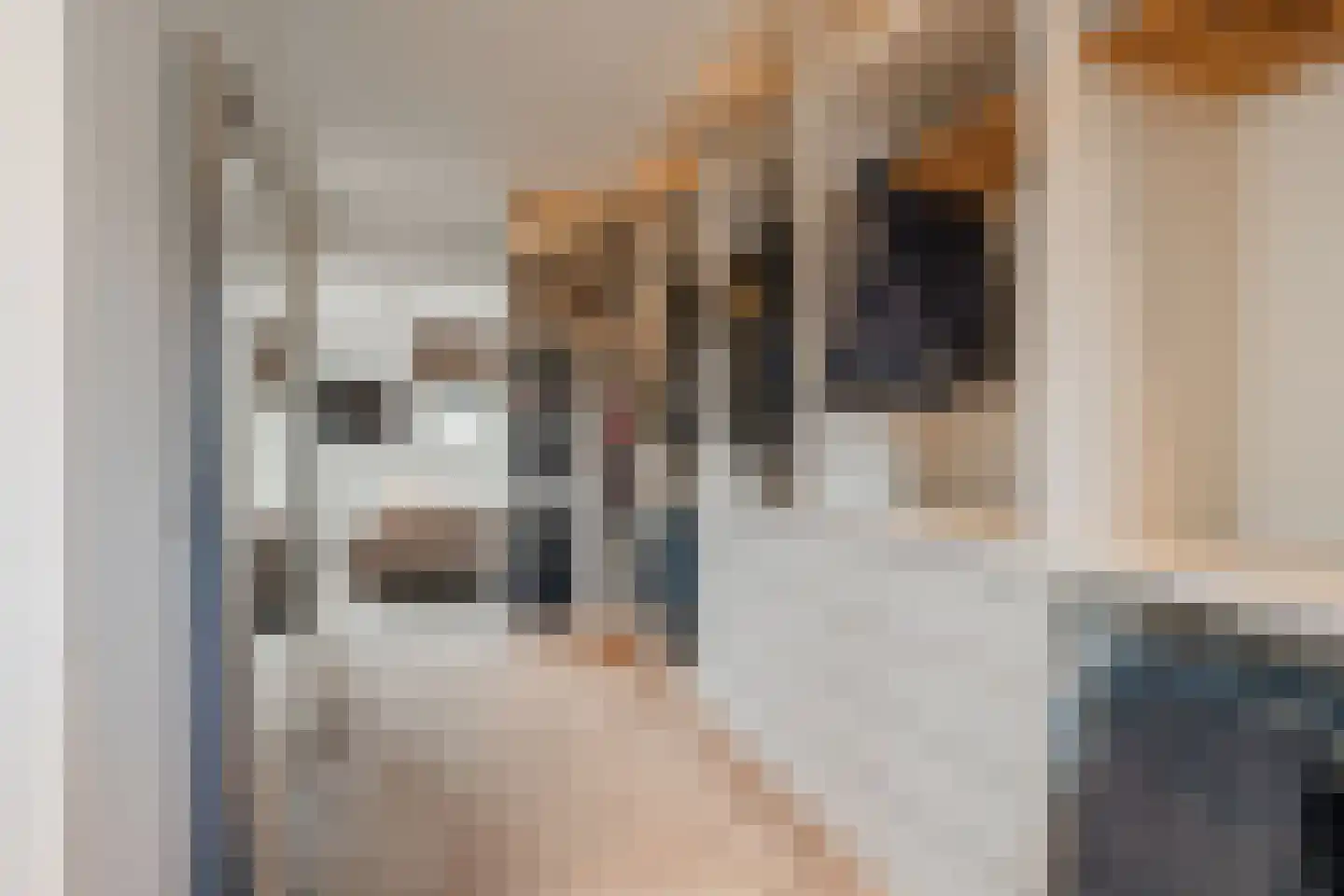 Grutto 1 Ouderkerk aan de Amstel thumbnail 28