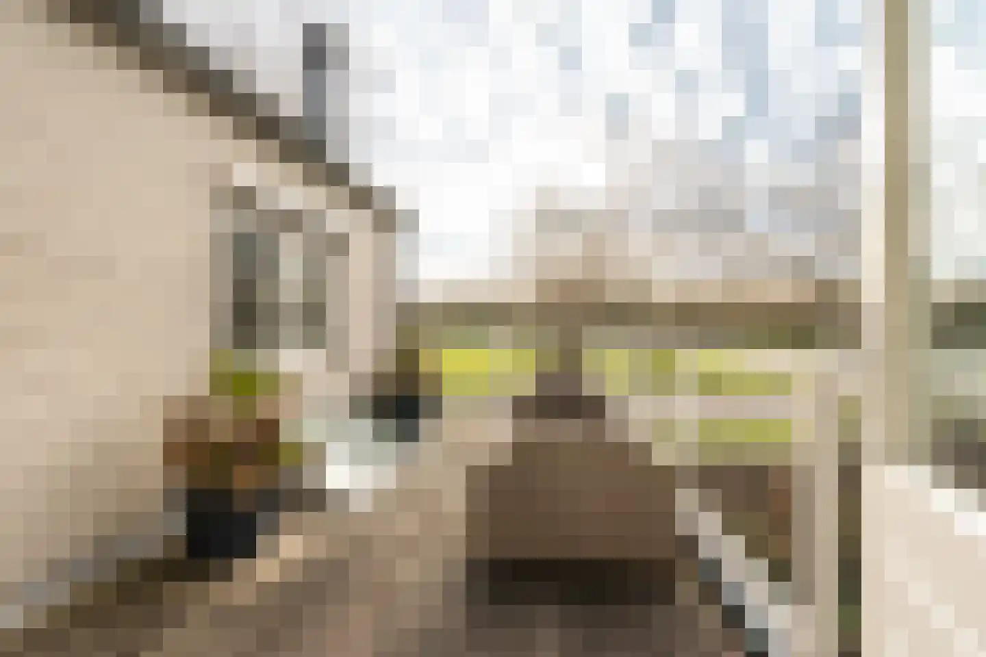 Grutto 1 Ouderkerk aan de Amstel thumbnail 32