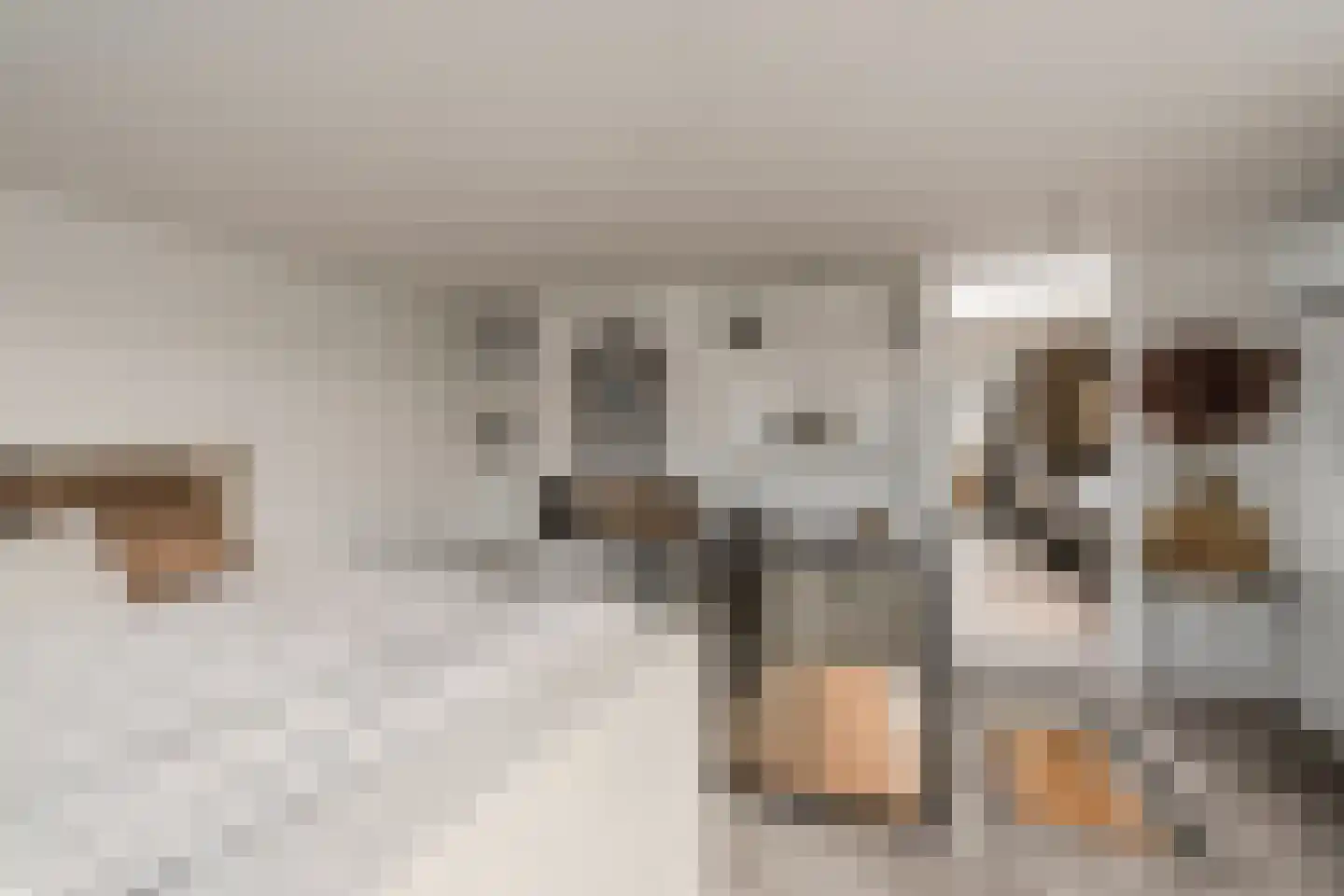 Grutto 1 Ouderkerk aan de Amstel thumbnail 38