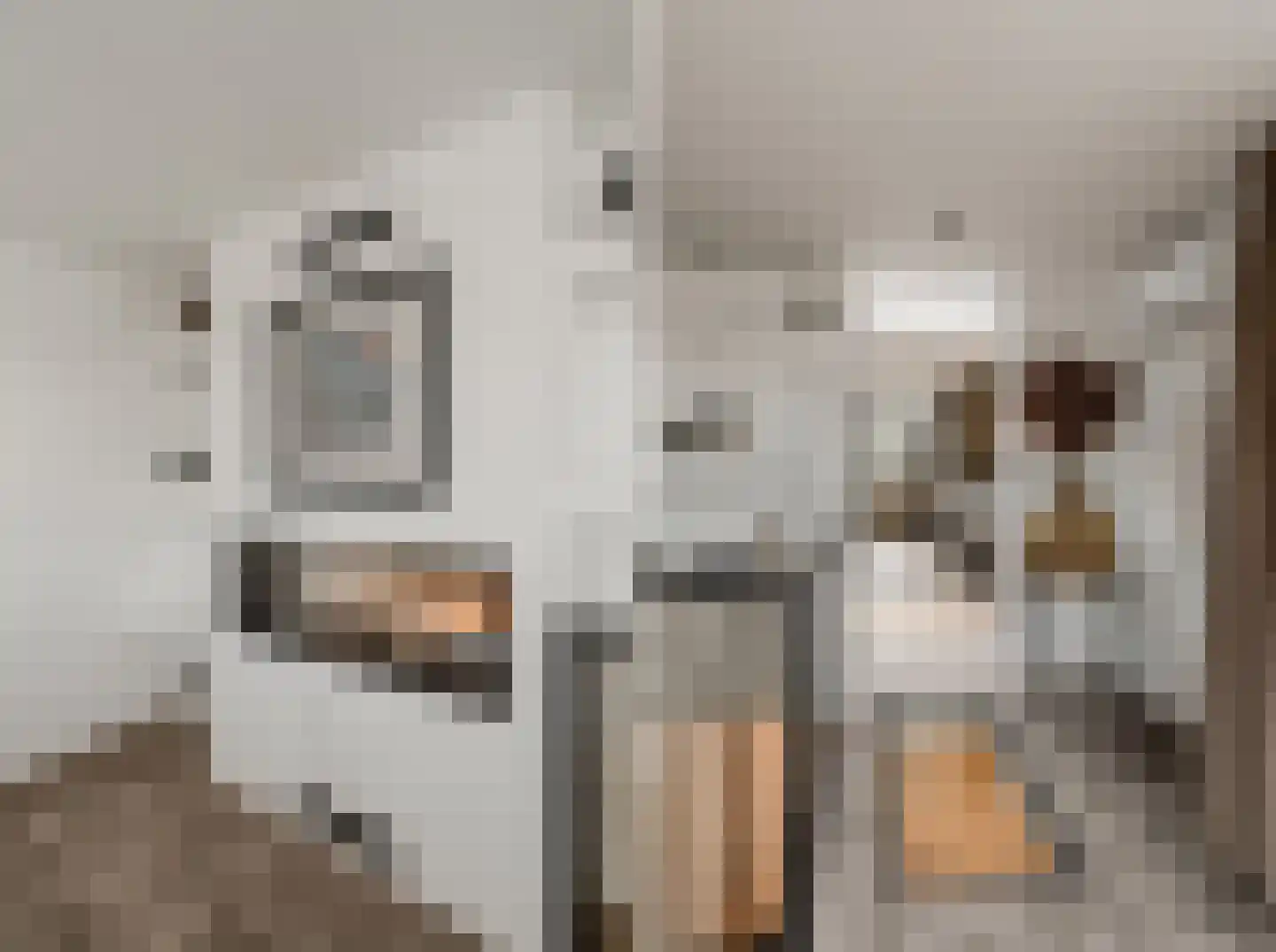 Grutto 1 Ouderkerk aan de Amstel thumbnail 39