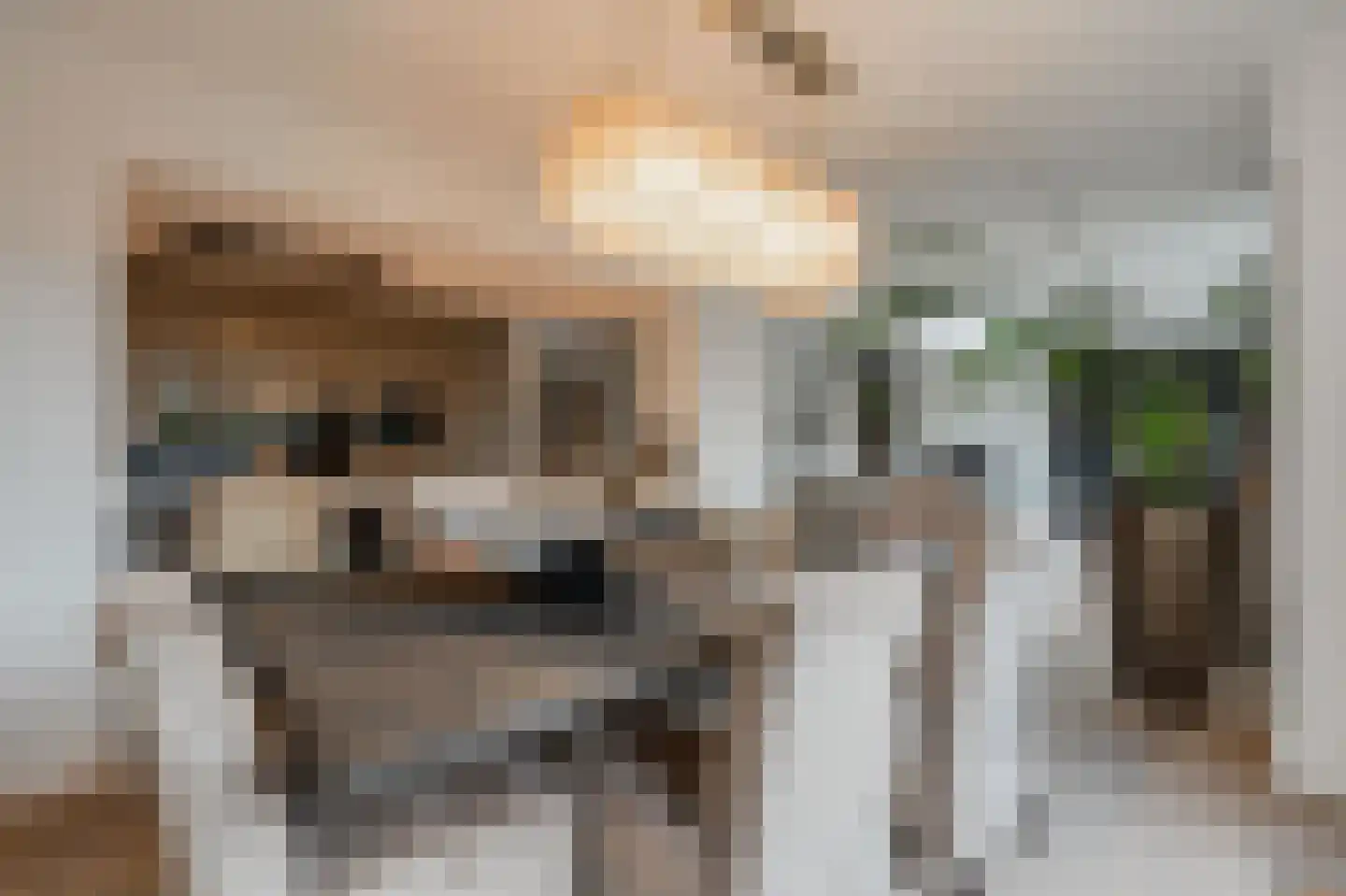 Grutto 1 Ouderkerk aan de Amstel thumbnail 4