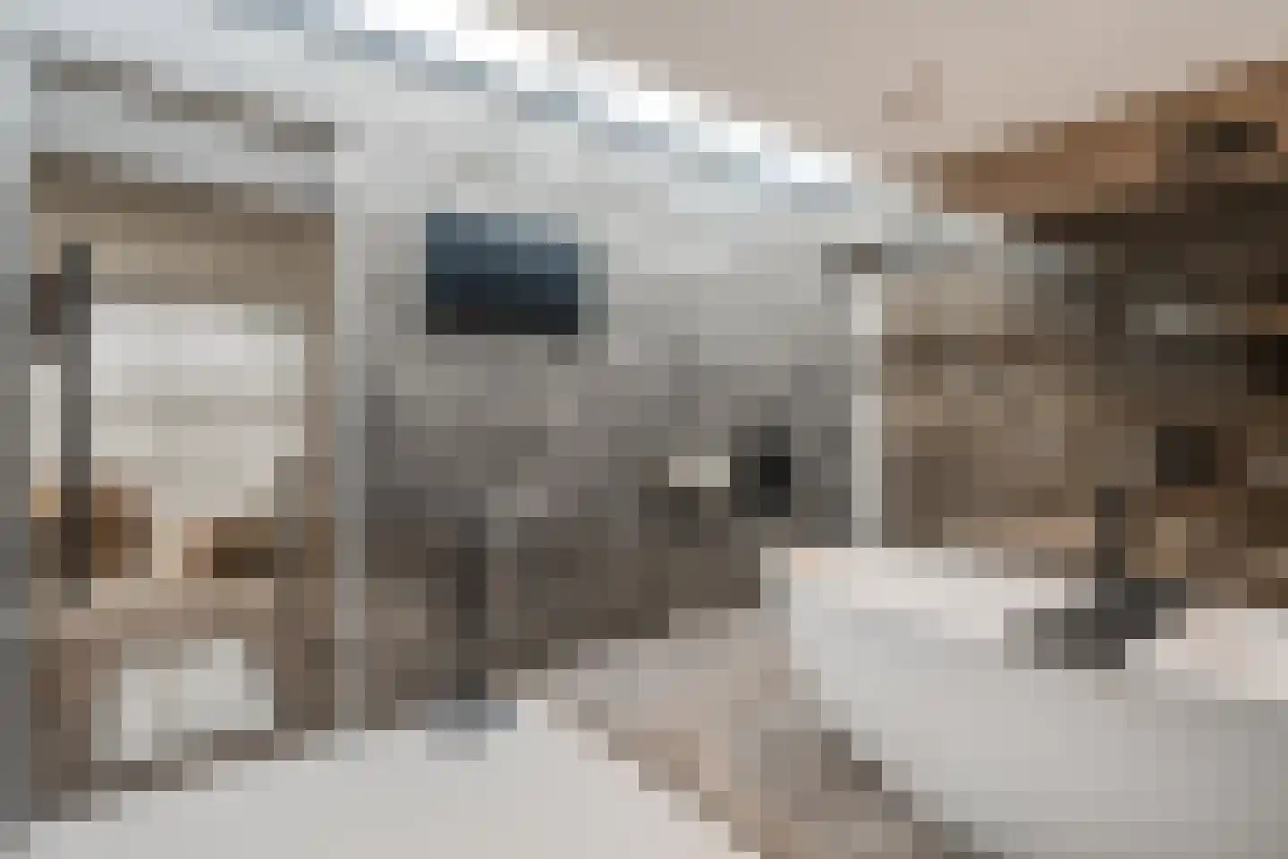 Grutto 1 Ouderkerk aan de Amstel thumbnail 40
