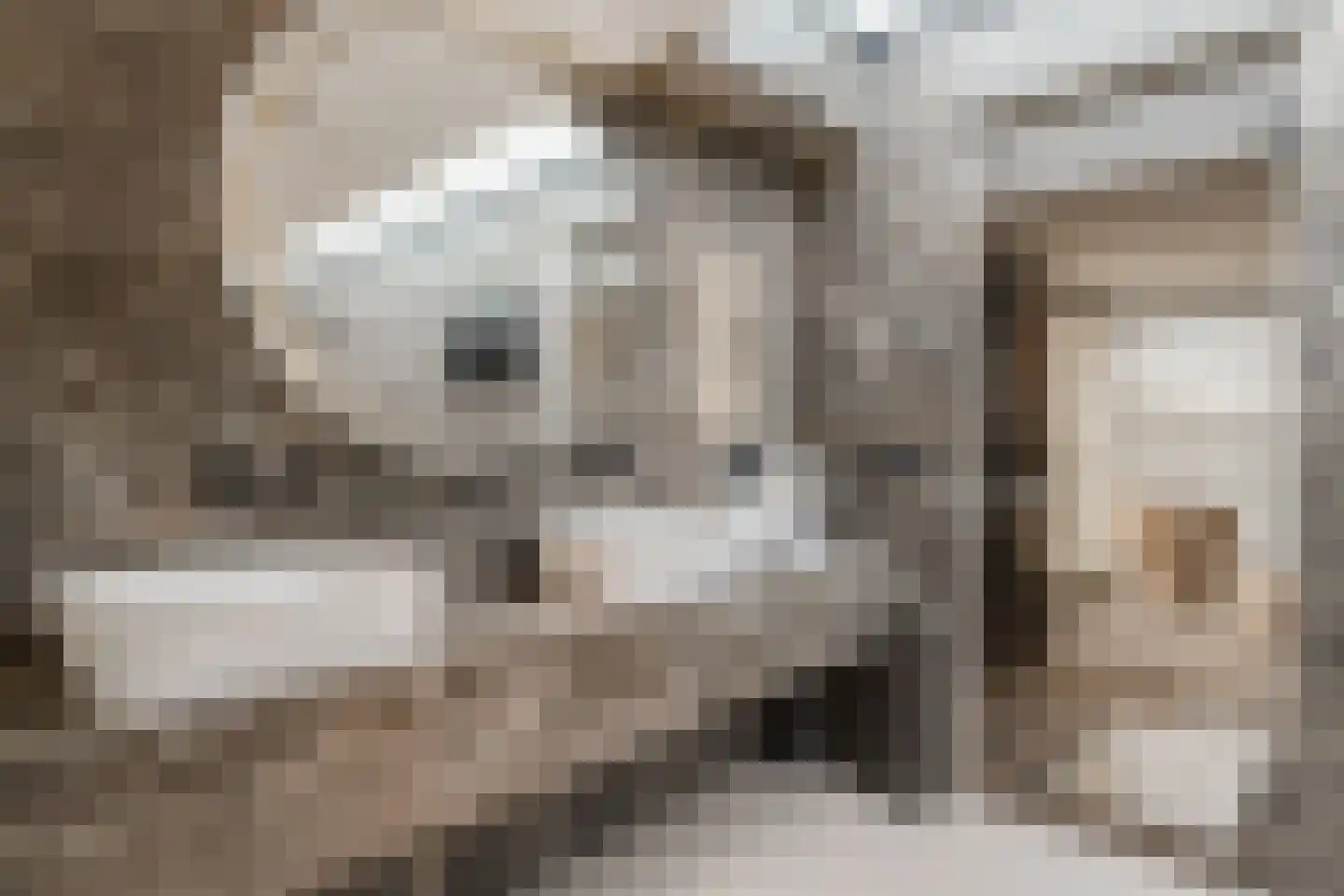 Grutto 1 Ouderkerk aan de Amstel thumbnail 41