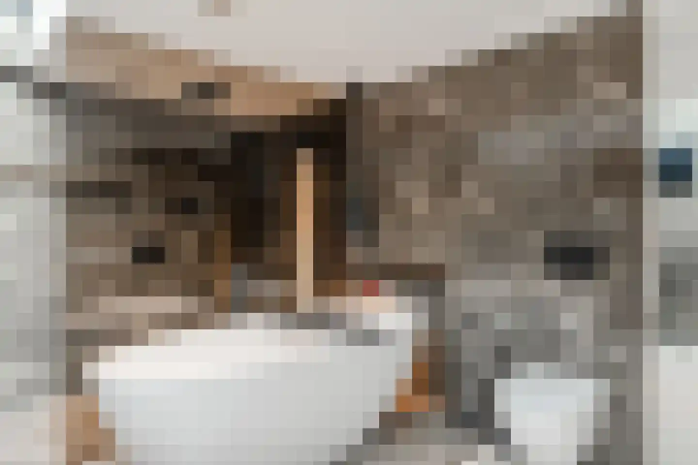 Grutto 1 Ouderkerk aan de Amstel thumbnail 42