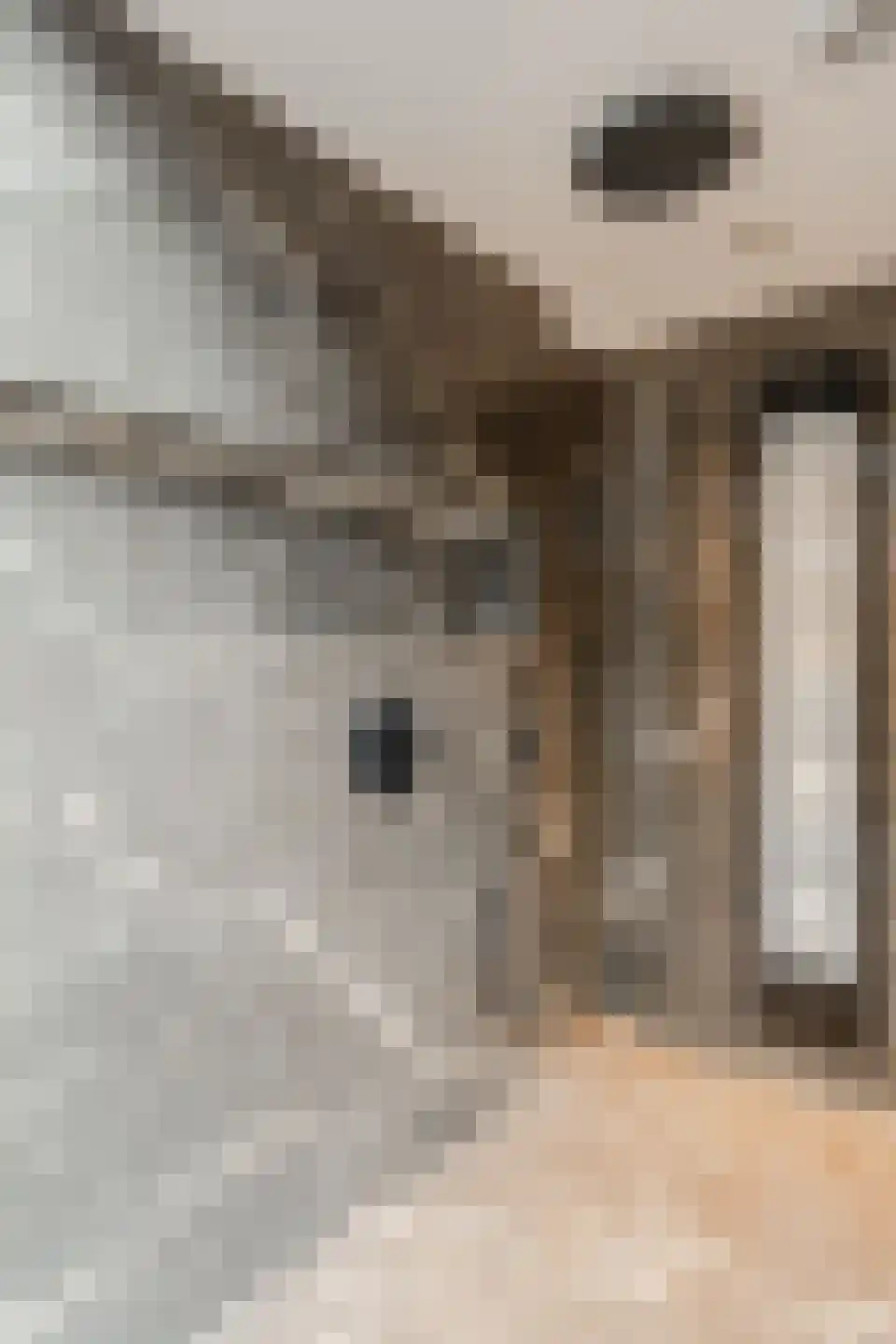 Grutto 1 Ouderkerk aan de Amstel thumbnail 43