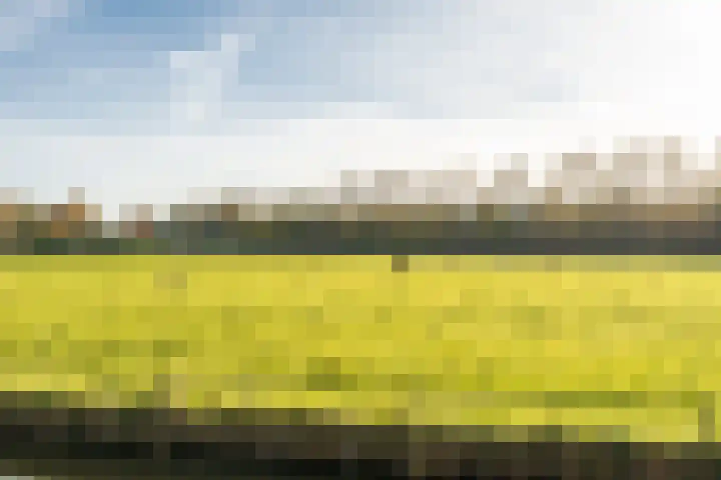 Grutto 1 Ouderkerk aan de Amstel thumbnail 46