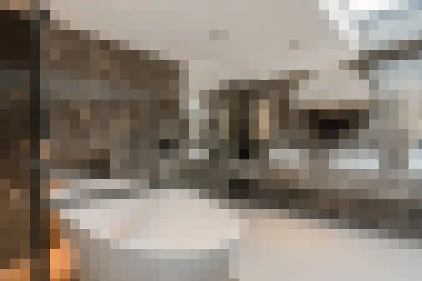 Grutto 1 Ouderkerk aan de Amstel thumbnail 5