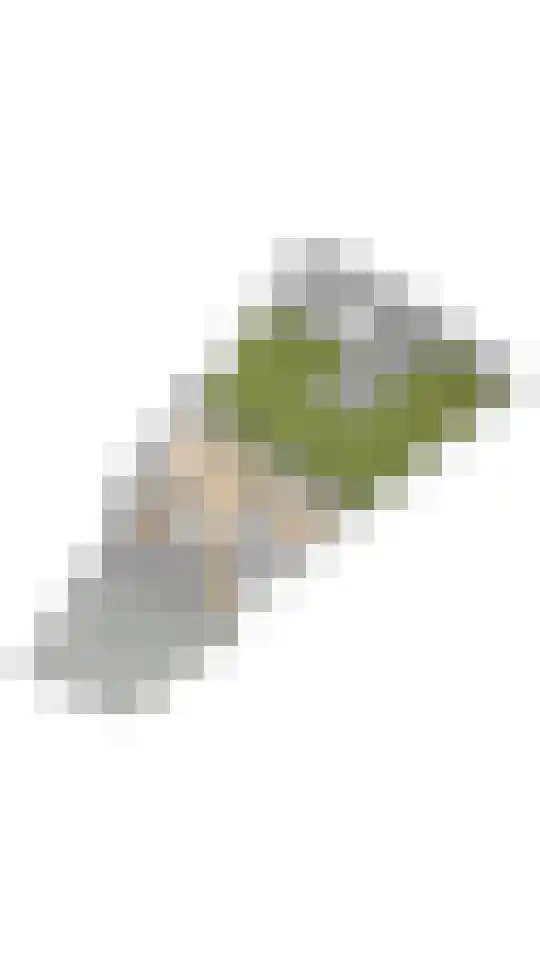 Grutto 1 Ouderkerk aan de Amstel thumbnail 51