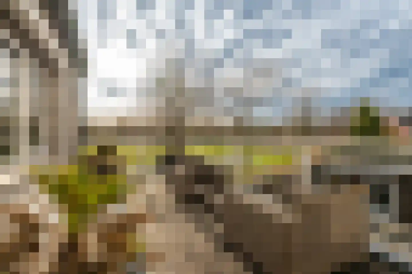 Grutto 1 Ouderkerk aan de Amstel thumbnail 7