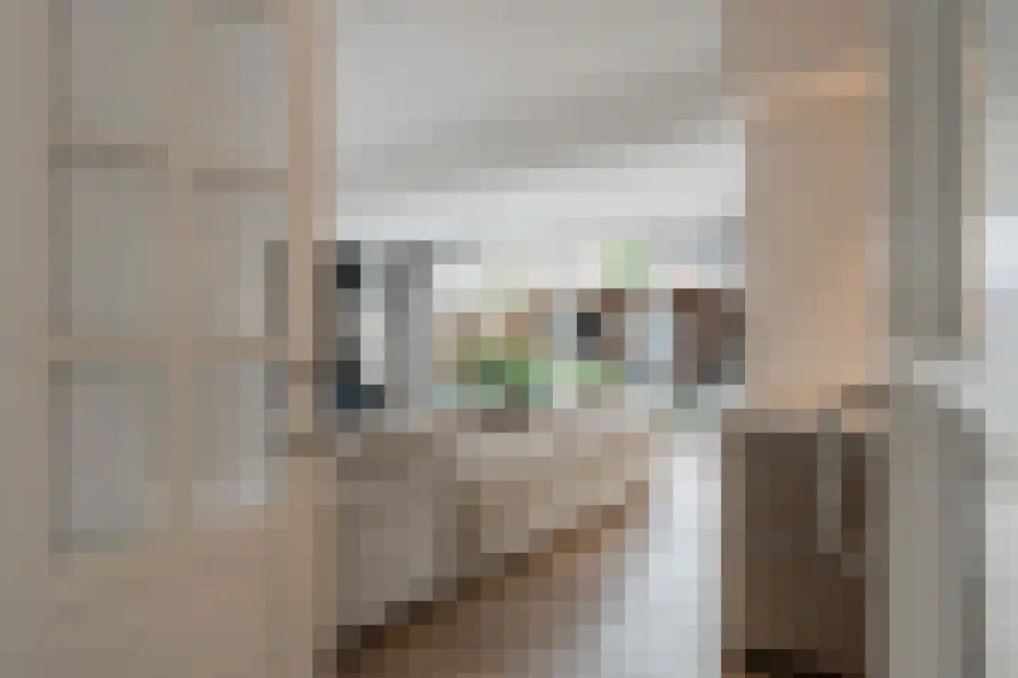 Grutto 1 Ouderkerk aan de Amstel thumbnail 8