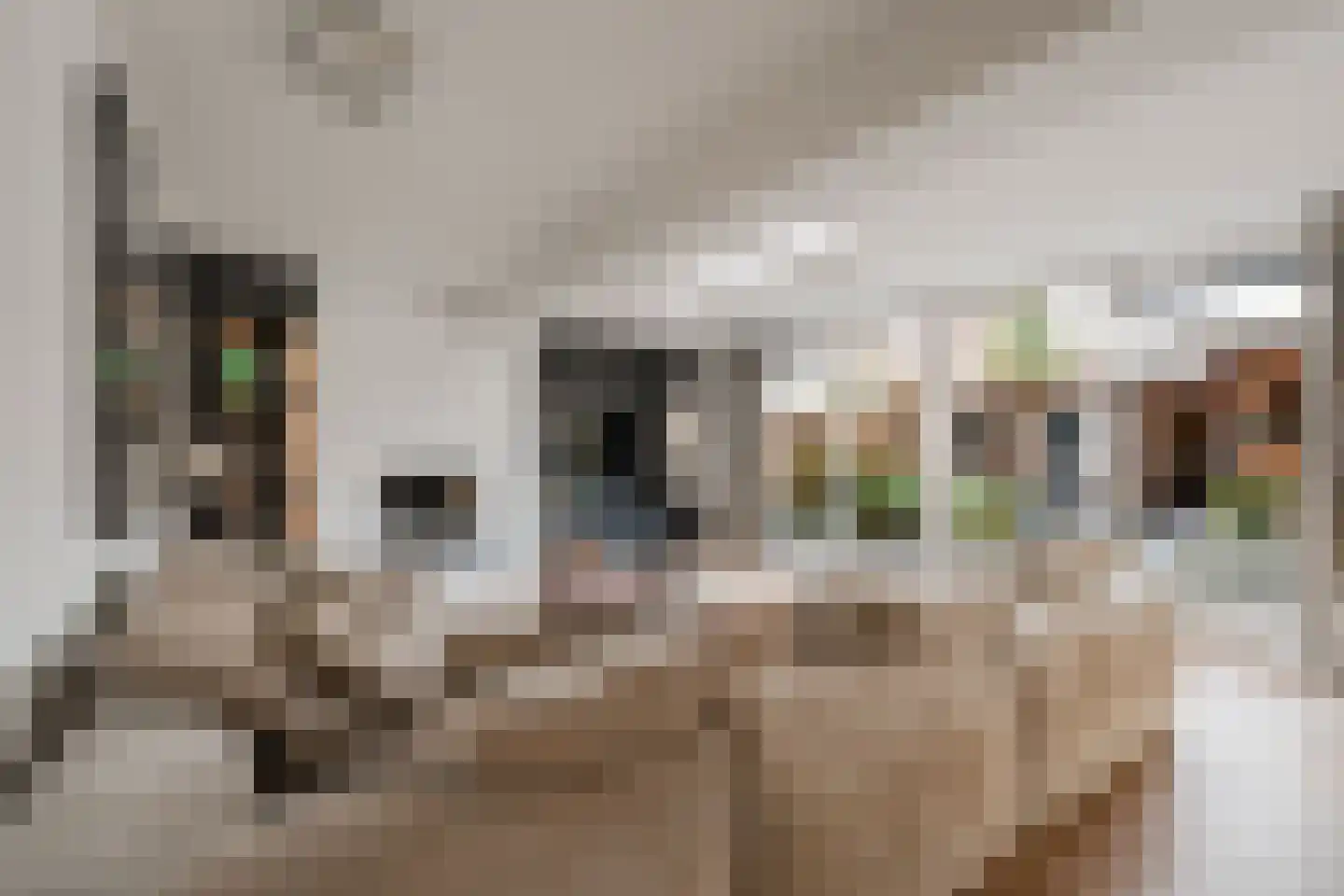 Grutto 1 Ouderkerk aan de Amstel thumbnail 9