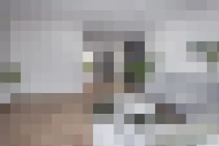 Grutto 10 Grootebroek thumbnail 10