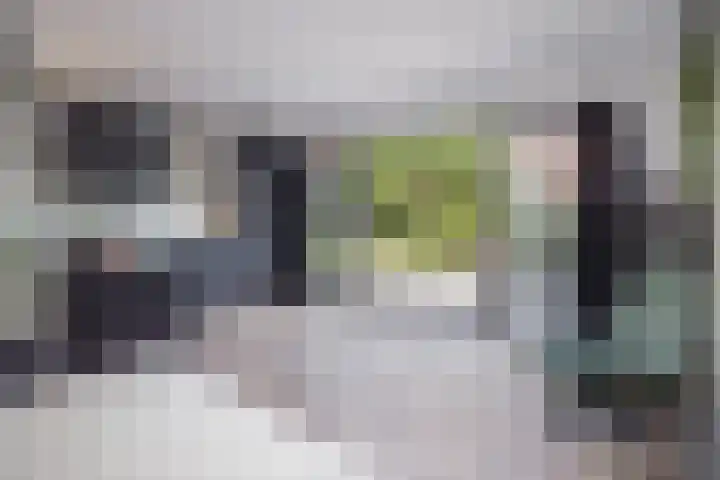 Grutto 10 Grootebroek thumbnail 12