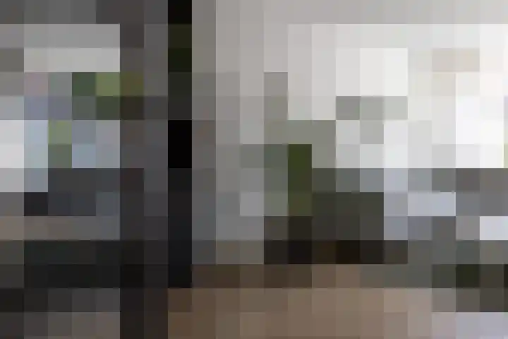 Grutto 10 Grootebroek thumbnail 14